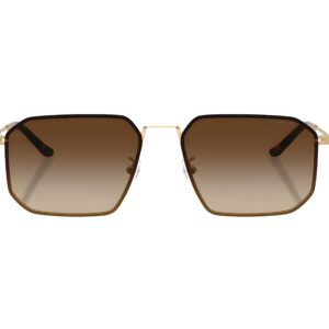 EMPORIO ARMANI (EA 2165D 3002/13 58-16 145)