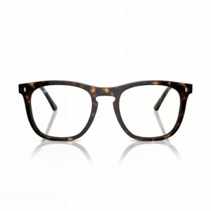 Ray Ban (2210V 2012 53-21)