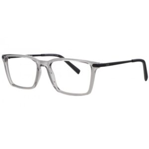 Armani Exchange (3077 8239 54-17 145)