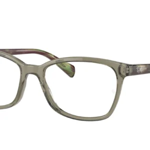Ray Ban (5362 8178 52-17 140)